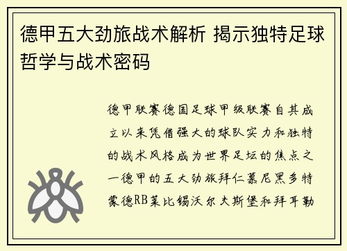 德甲五大劲旅战术解析 揭示独特足球哲学与战术密码