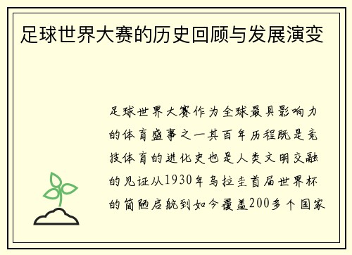 足球世界大赛的历史回顾与发展演变